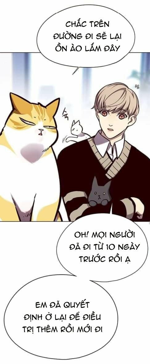 Hoá Thân Thành Mèo: Chapter 144