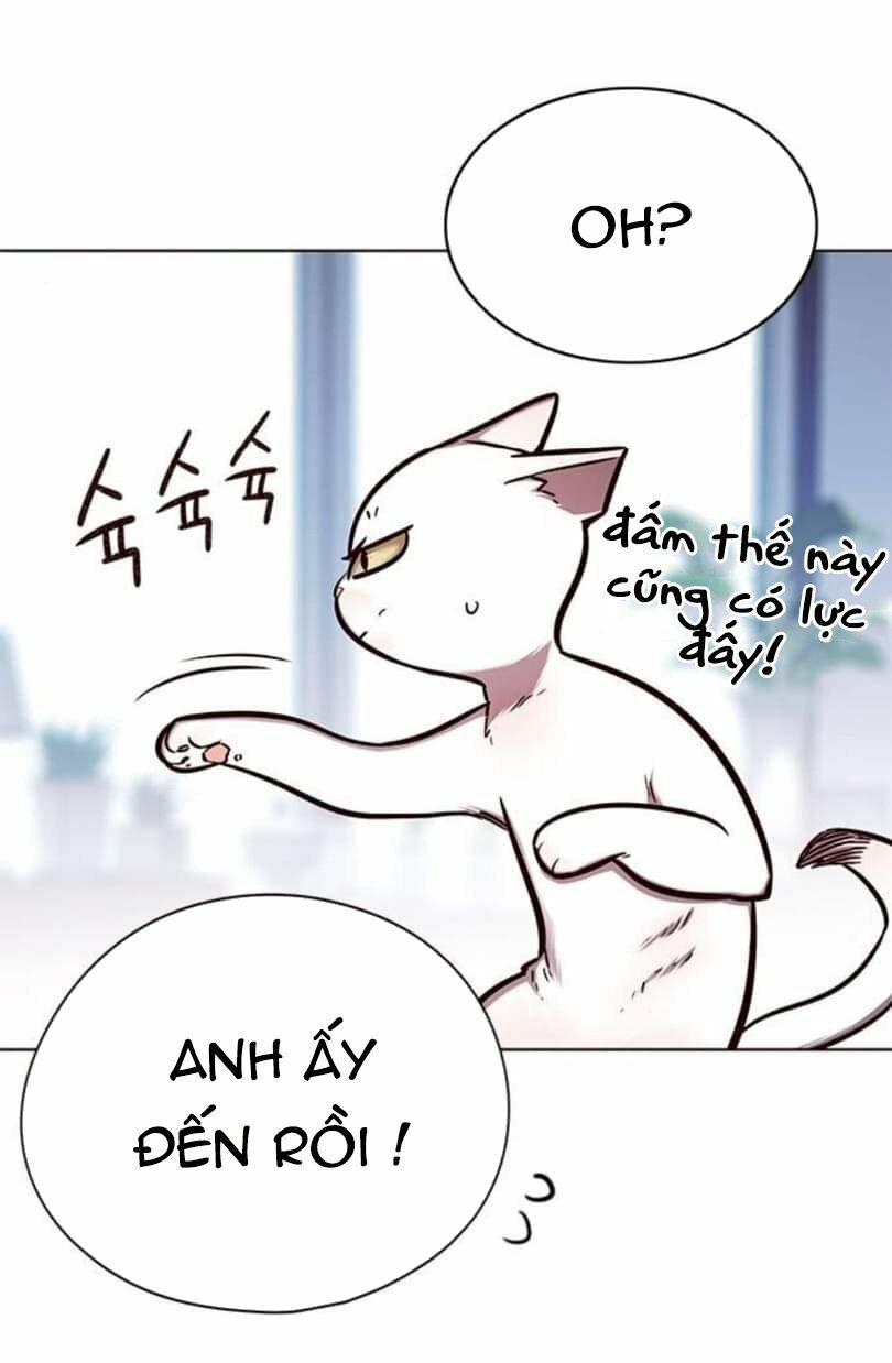 Hoá Thân Thành Mèo: Chapter 144