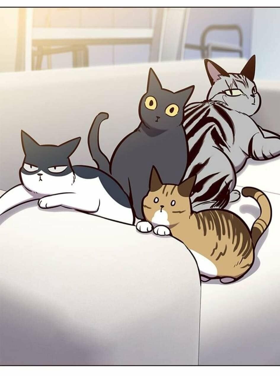 Hoá Thân Thành Mèo: Chapter 144