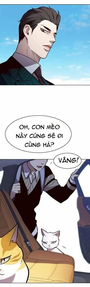 Hoá Thân Thành Mèo: Chapter 144