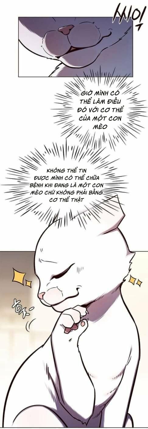 Hoá Thân Thành Mèo: Chapter 144