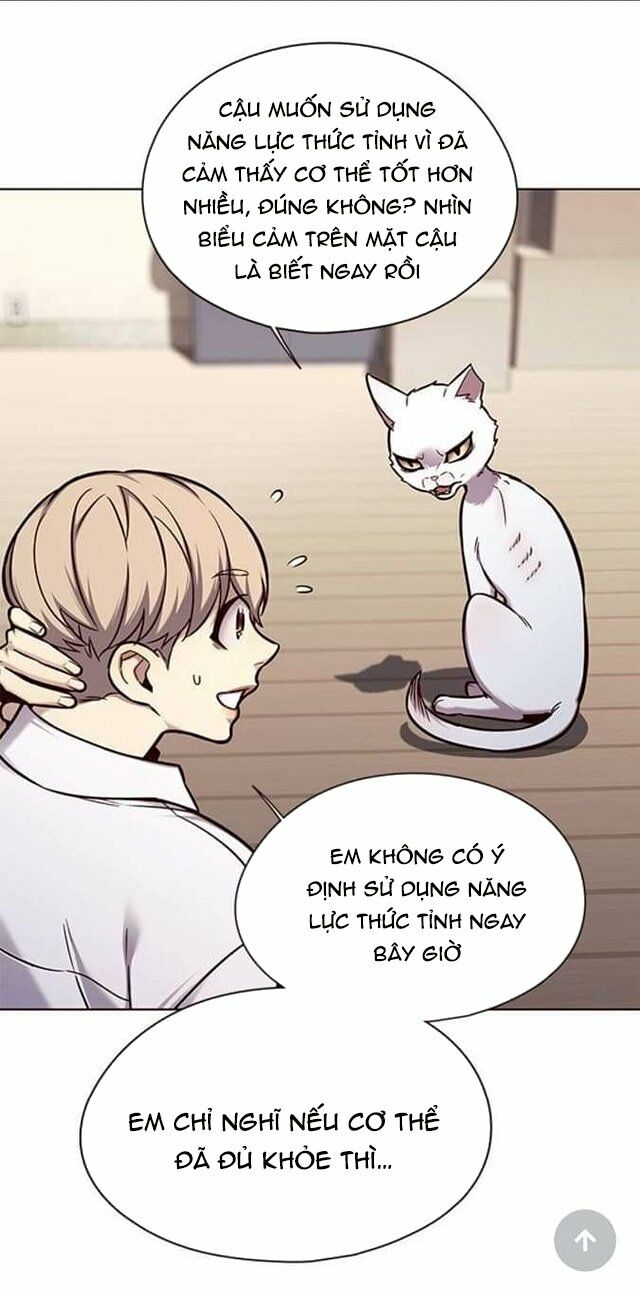 Hoá Thân Thành Mèo: Chapter 144