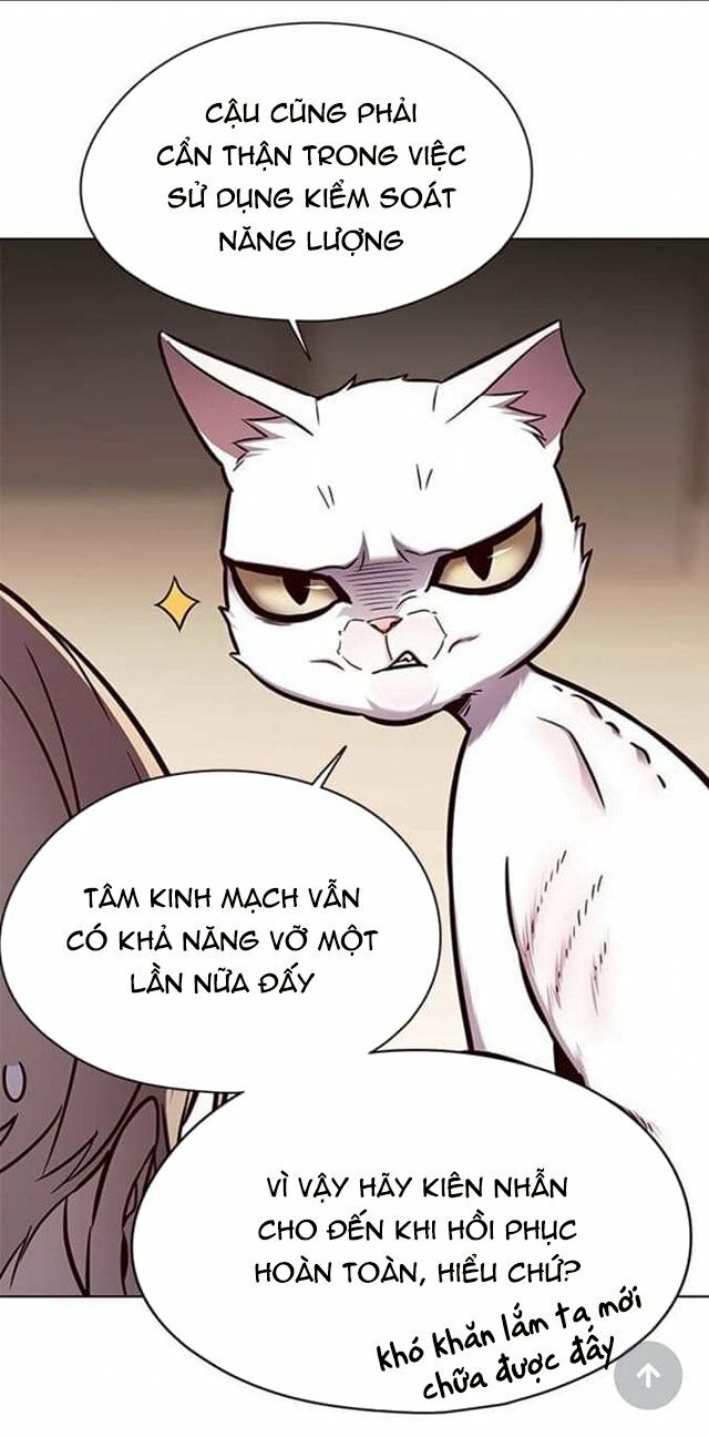 Hoá Thân Thành Mèo: Chapter 144