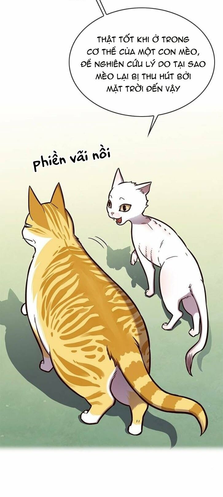 Hoá Thân Thành Mèo: Chapter 145
