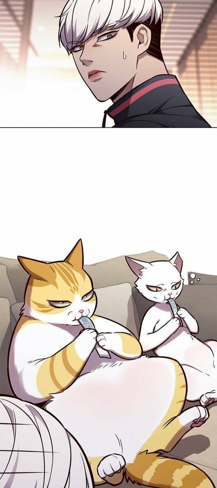 Hoá Thân Thành Mèo: Chapter 146