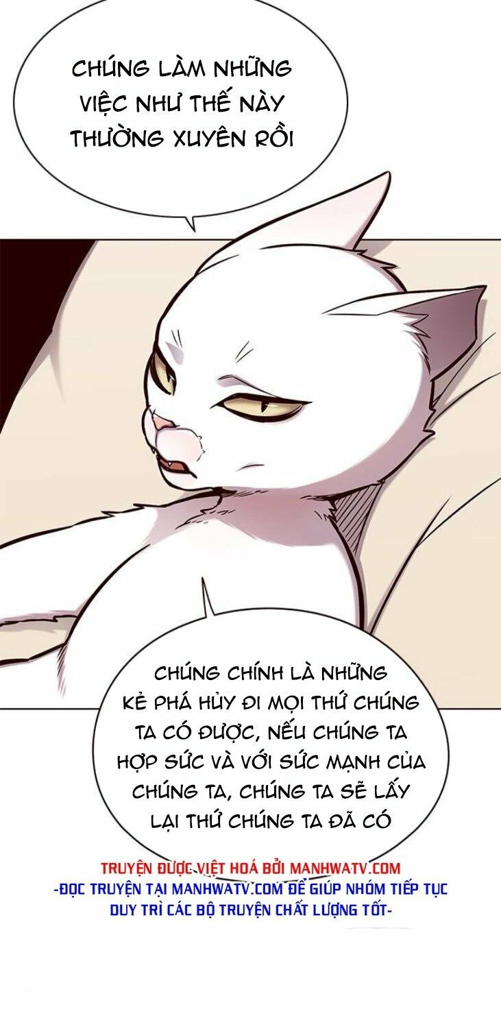 Hoá Thân Thành Mèo: Chapter 146