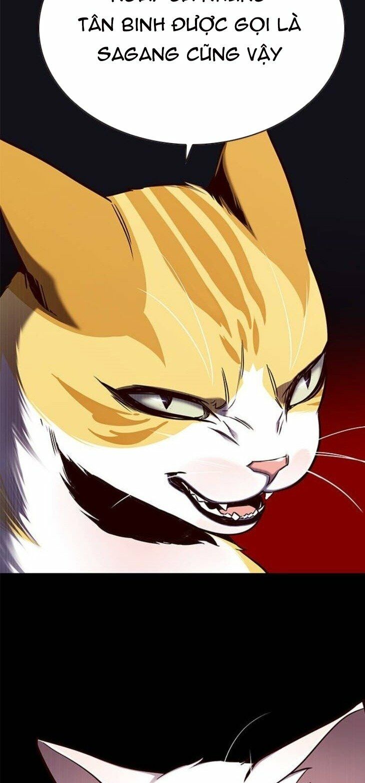 Hoá Thân Thành Mèo: Chapter 146
