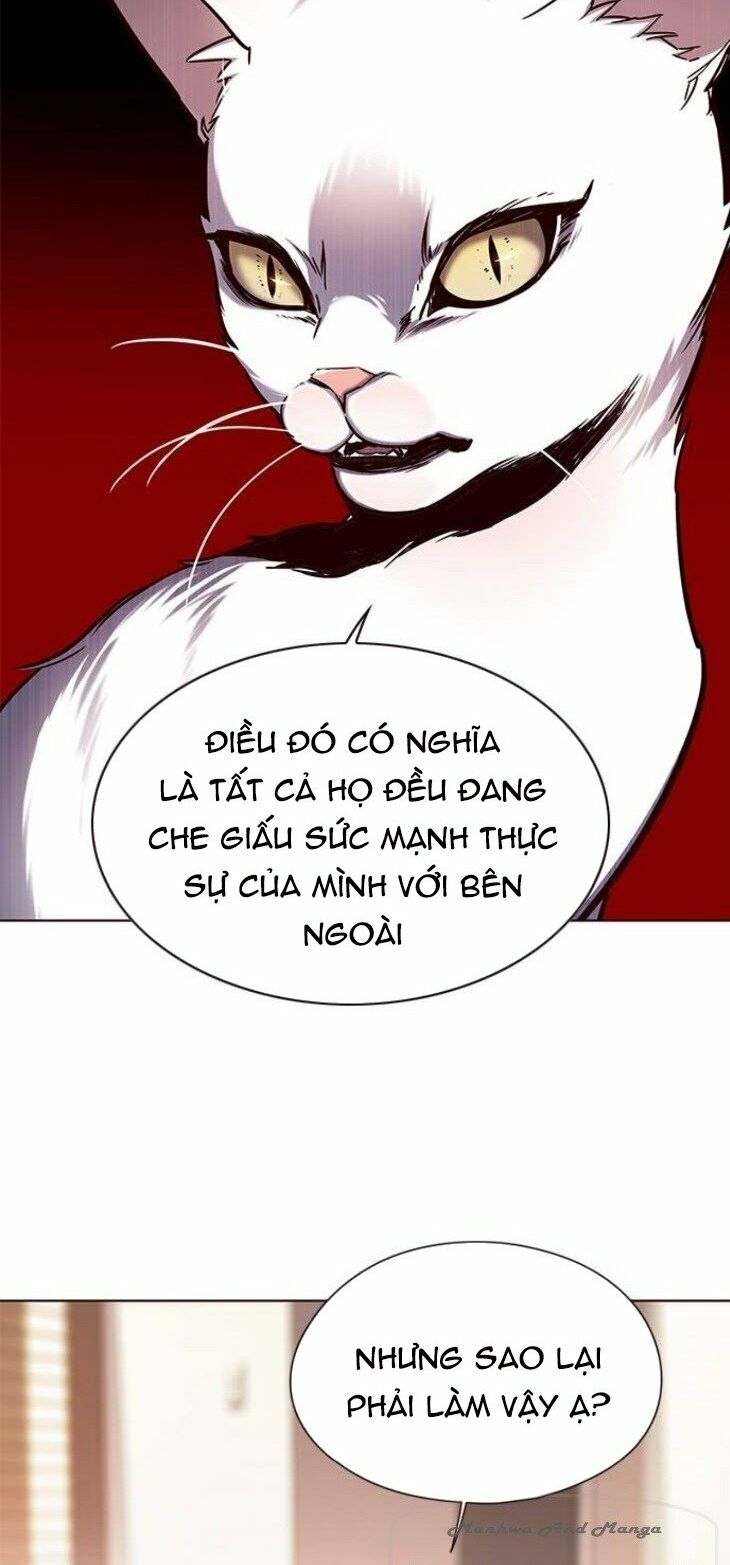 Hoá Thân Thành Mèo: Chapter 146