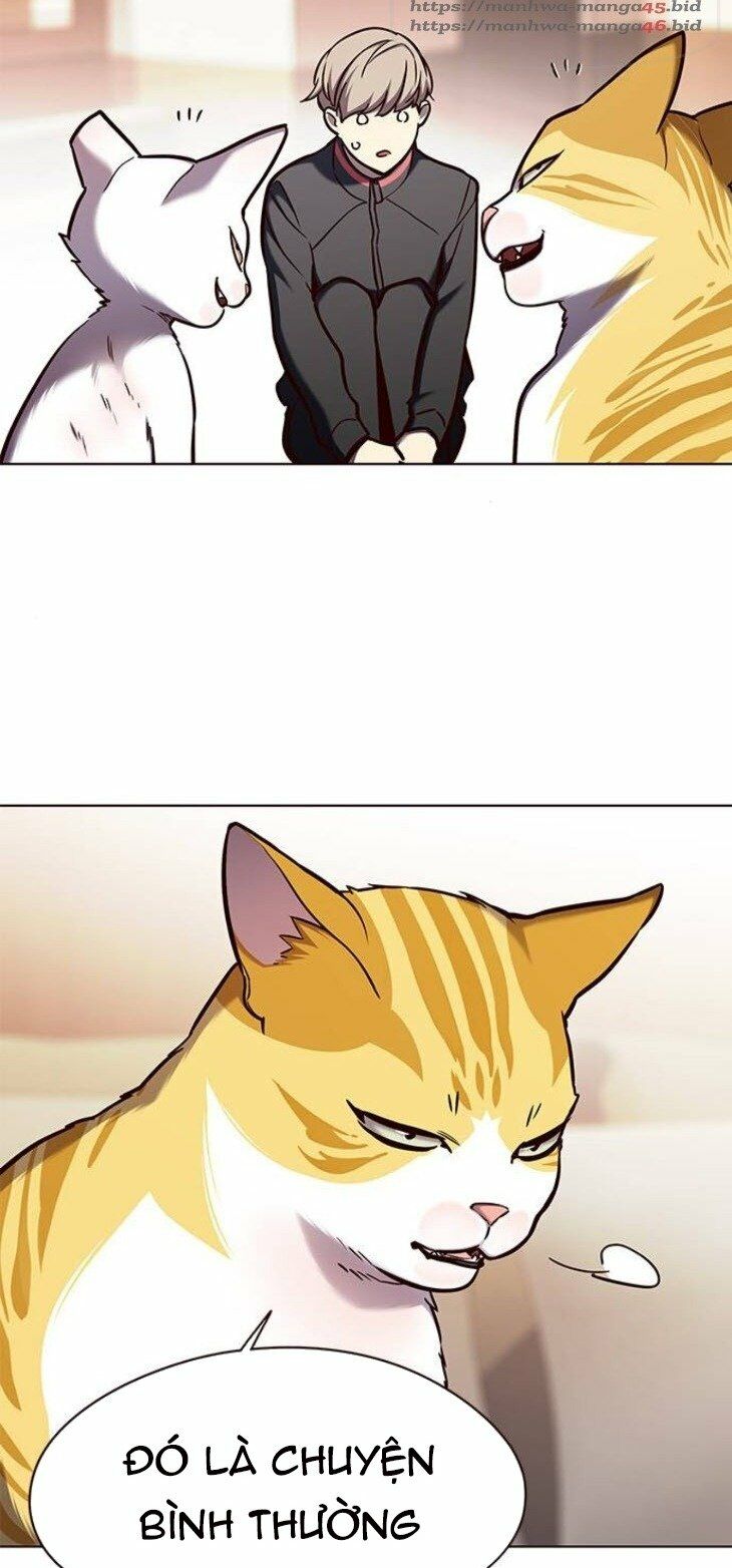 Hoá Thân Thành Mèo: Chapter 146