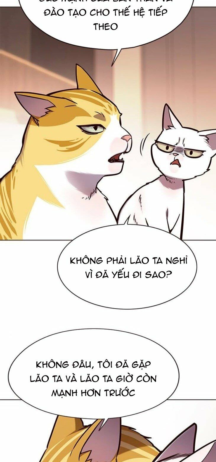 Hoá Thân Thành Mèo: Chapter 146
