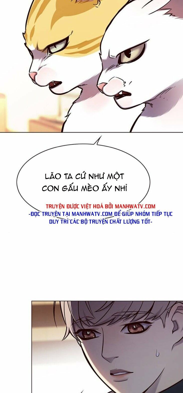 Hoá Thân Thành Mèo: Chapter 146