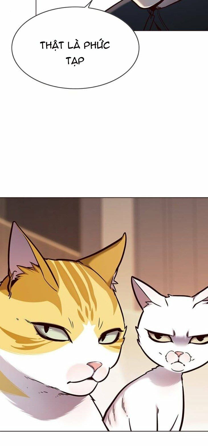Hoá Thân Thành Mèo: Chapter 146