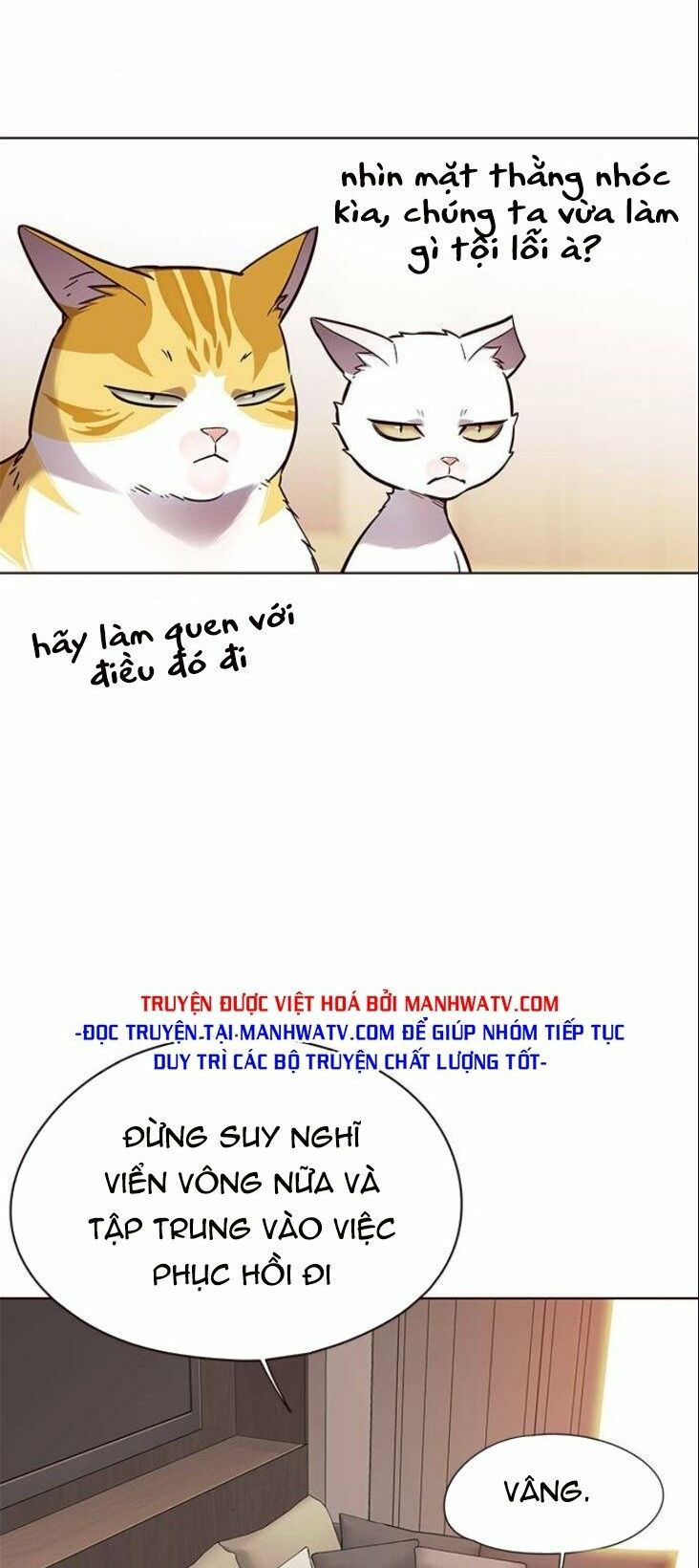 Hoá Thân Thành Mèo: Chapter 146