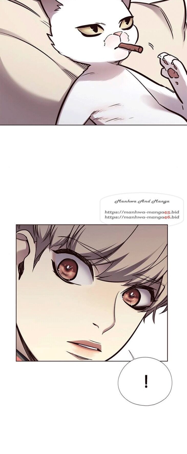 Hoá Thân Thành Mèo: Chapter 148