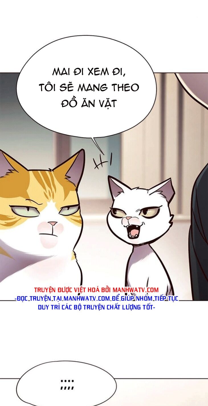 Hoá Thân Thành Mèo: Chapter 148