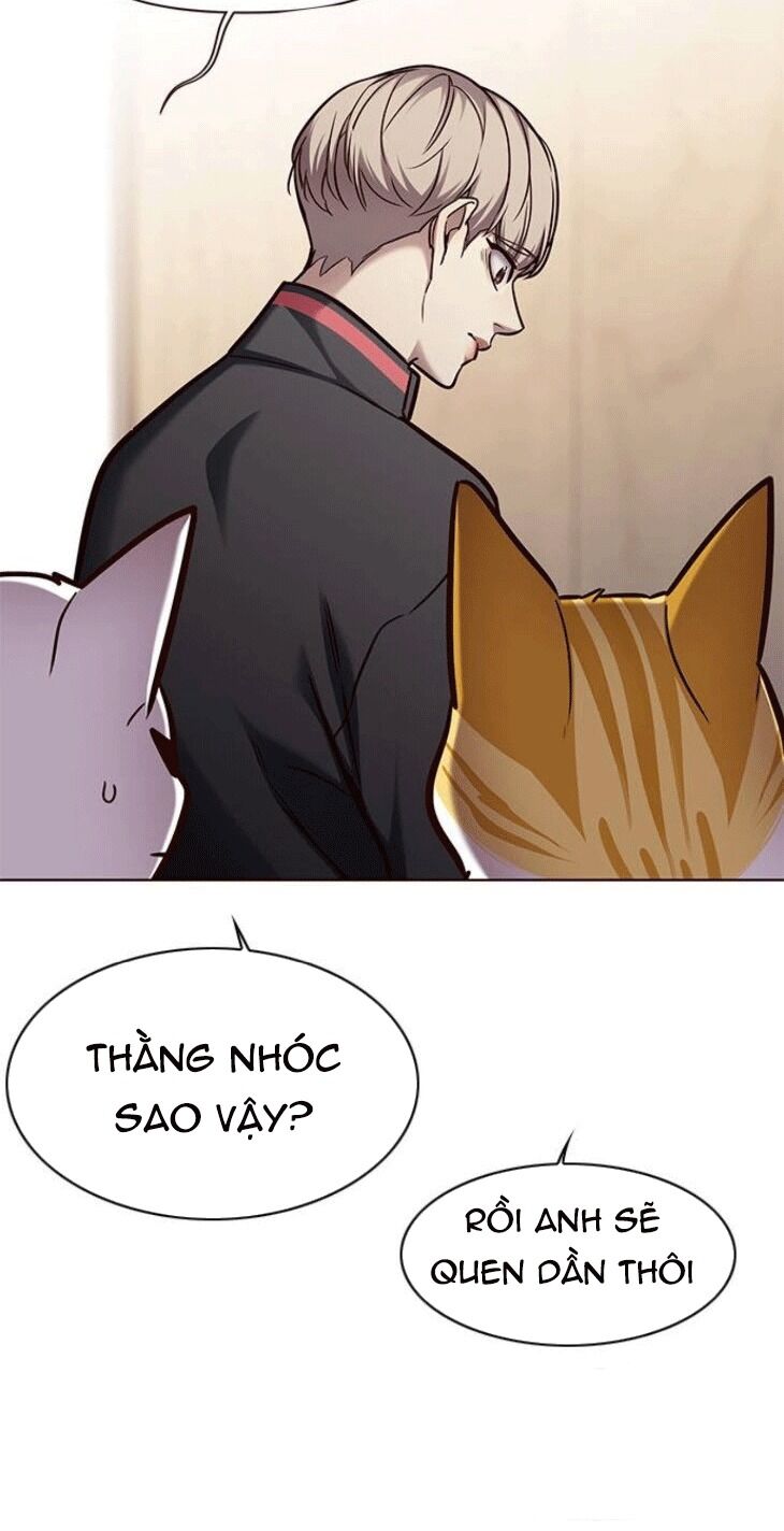 Hoá Thân Thành Mèo: Chapter 148