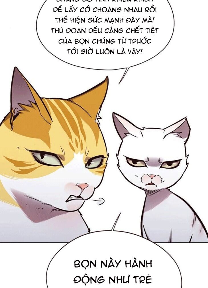 Hoá Thân Thành Mèo: Chapter 148