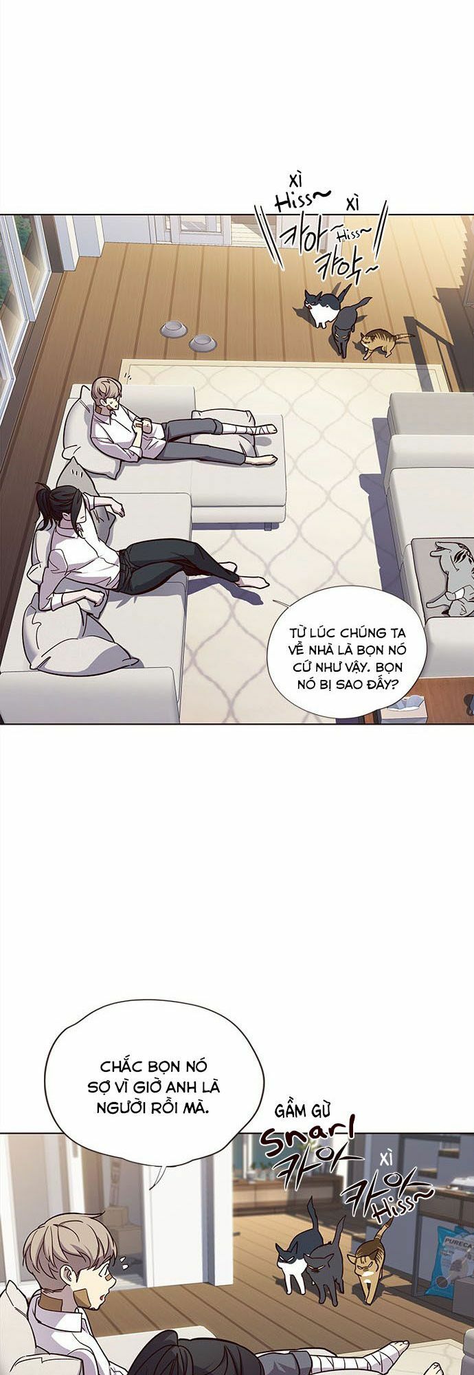 Hoá Thân Thành Mèo: Chapter 15