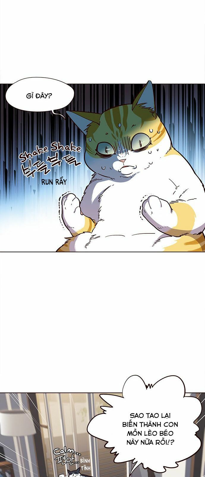 Hoá Thân Thành Mèo: Chapter 15