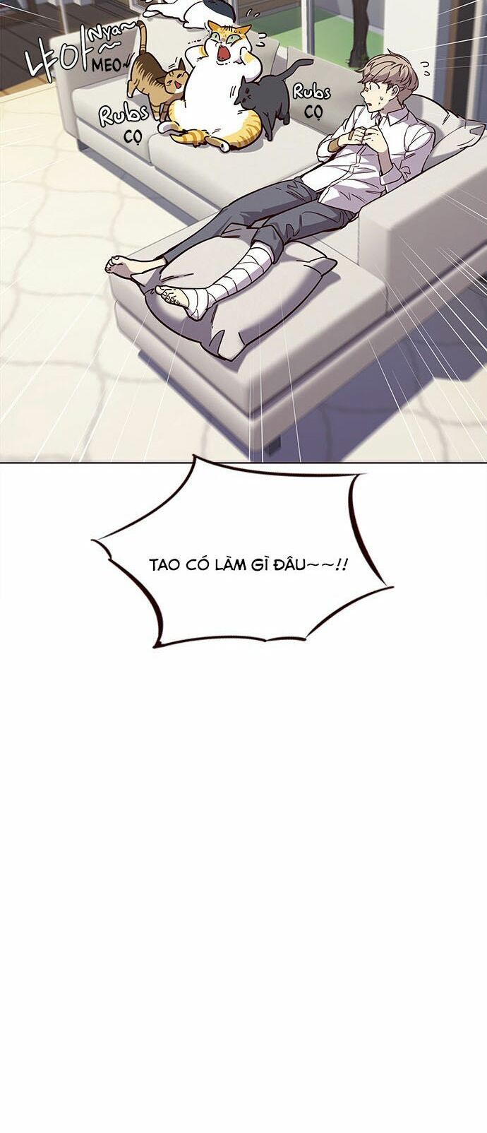 Hoá Thân Thành Mèo: Chapter 15