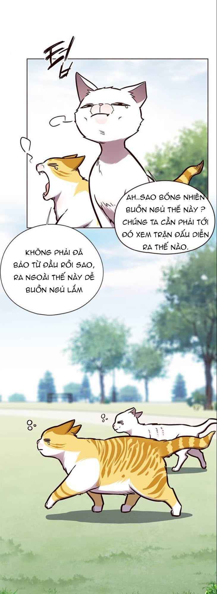 Hoá Thân Thành Mèo: Chapter 150