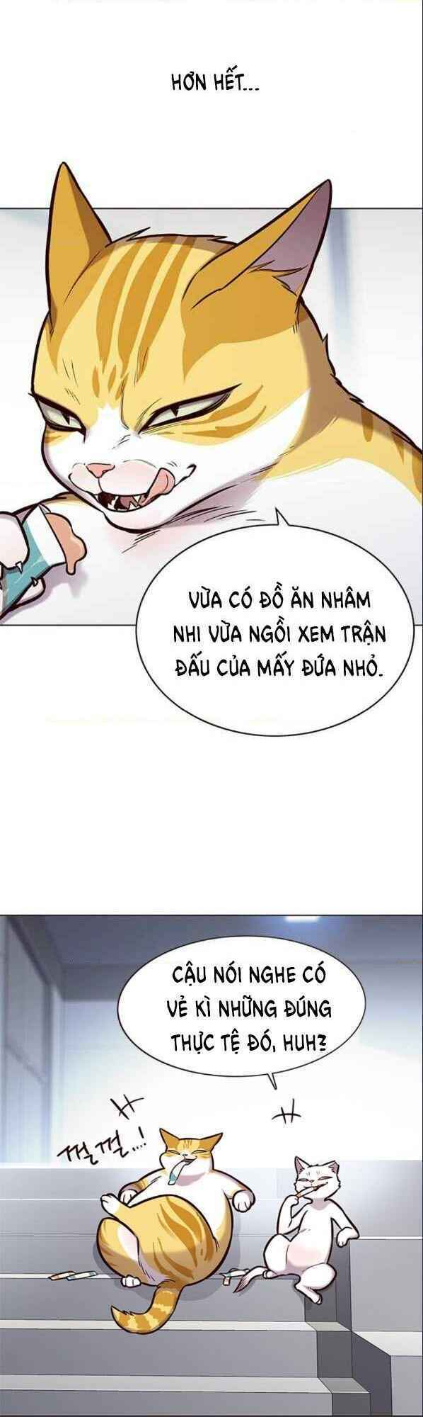 Hoá Thân Thành Mèo: Chapter 153