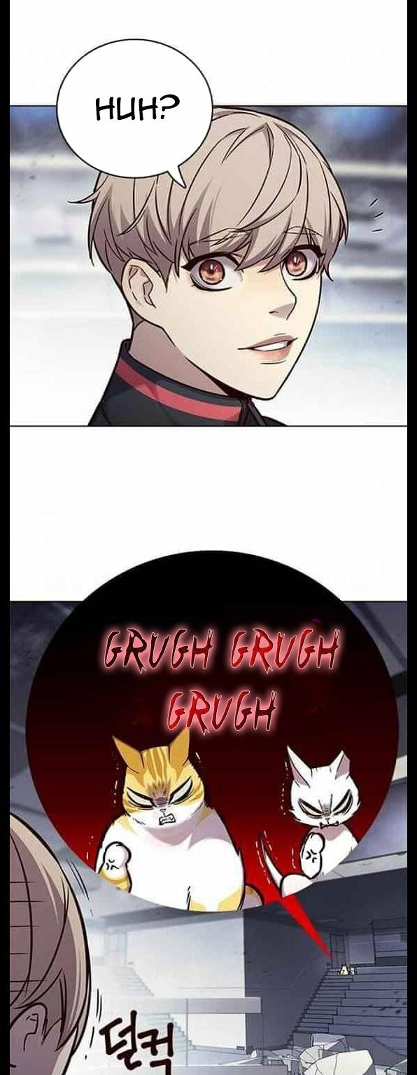 Hoá Thân Thành Mèo: Chapter 155