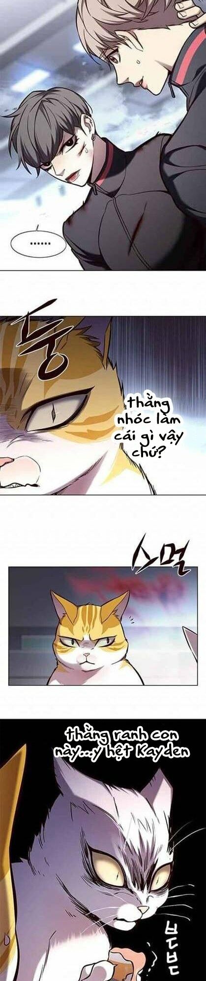Hoá Thân Thành Mèo: Chapter 155