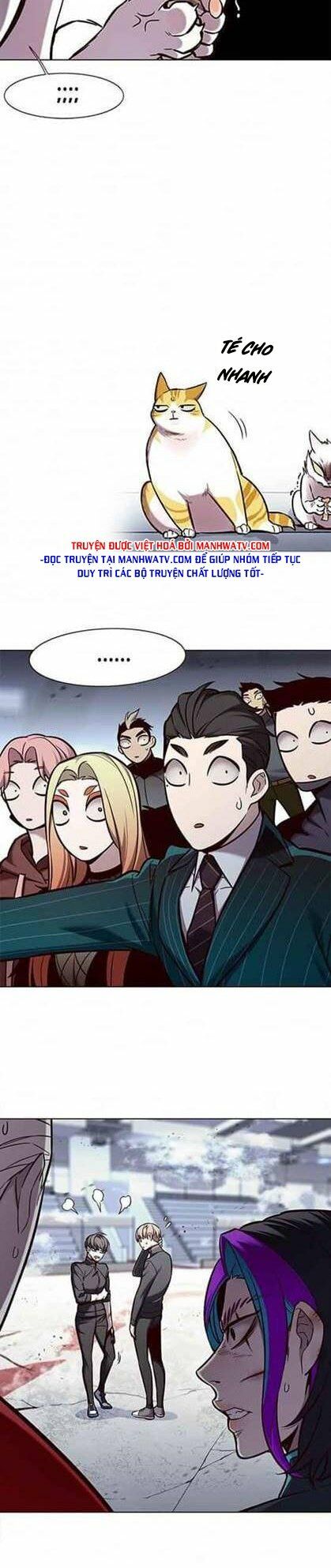 Hoá Thân Thành Mèo: Chapter 155