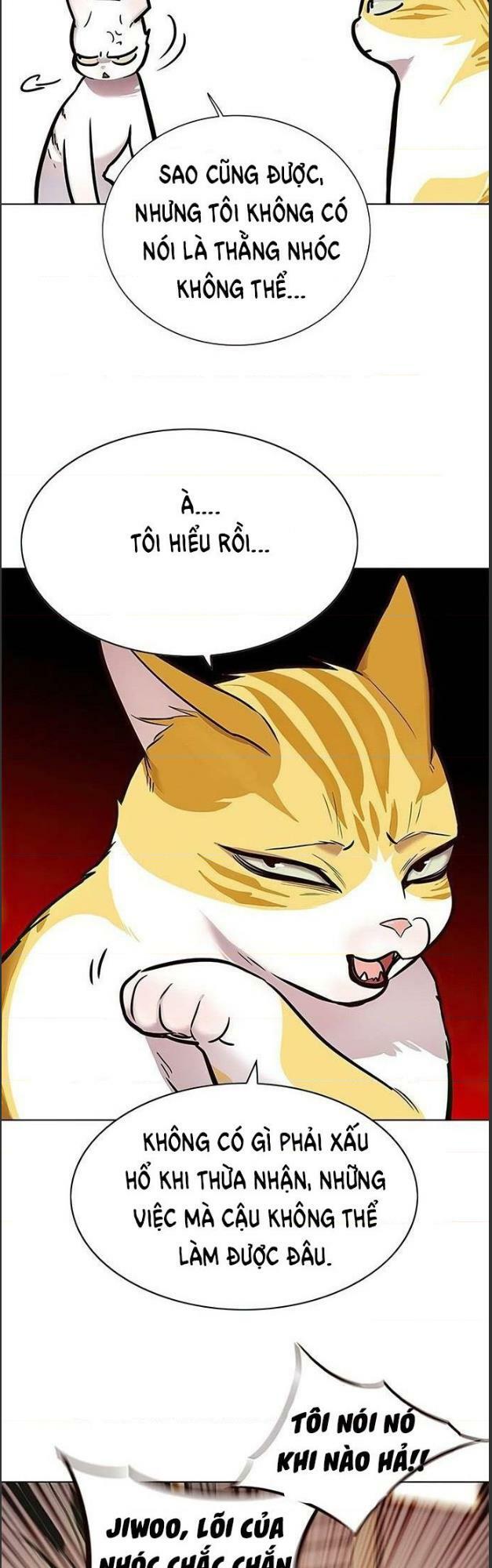 Hoá Thân Thành Mèo: Chapter 156