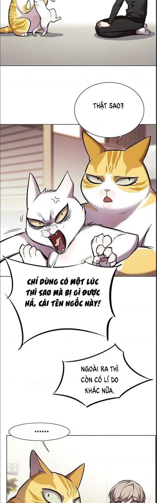 Hoá Thân Thành Mèo: Chapter 156