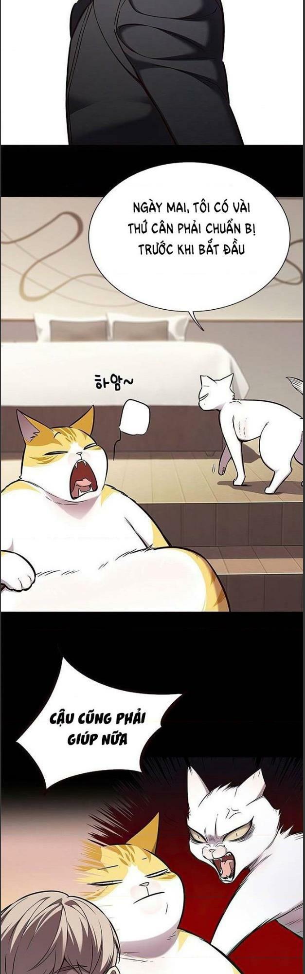 Hoá Thân Thành Mèo: Chapter 156