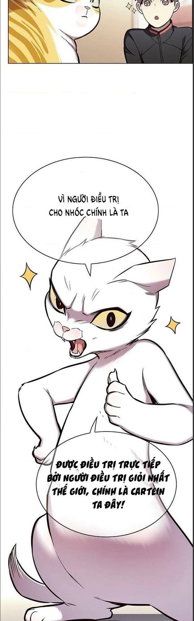 Hoá Thân Thành Mèo: Chapter 156