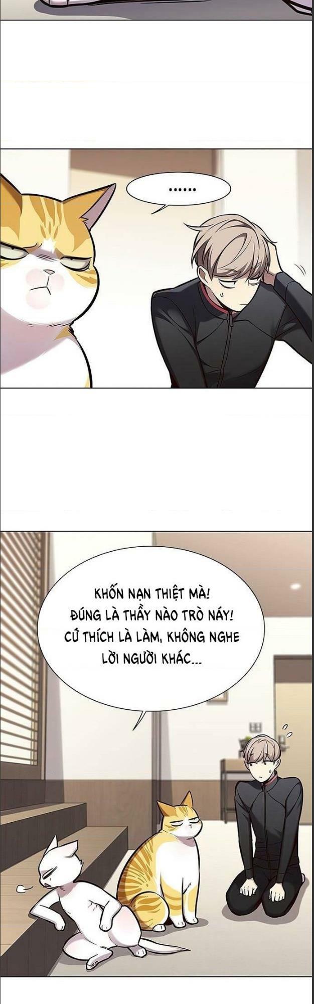 Hoá Thân Thành Mèo: Chapter 156