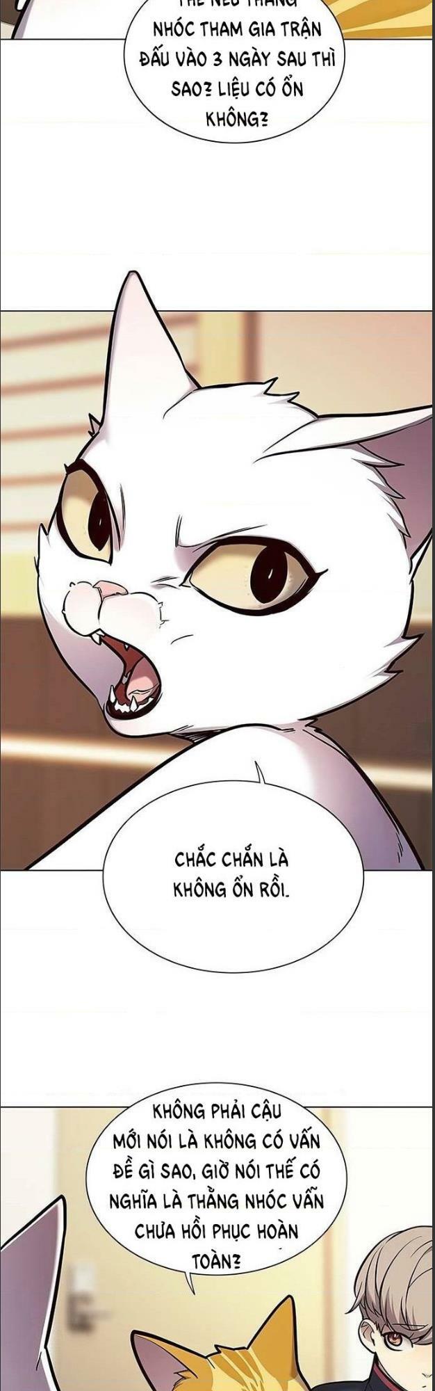 Hoá Thân Thành Mèo: Chapter 156
