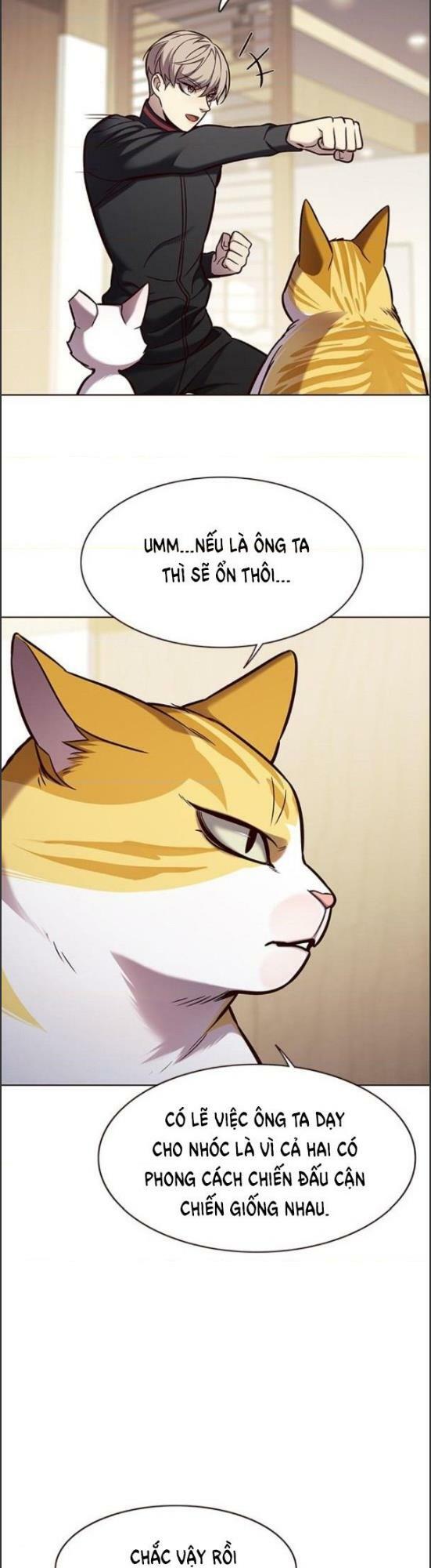 Hoá Thân Thành Mèo: Chapter 157
