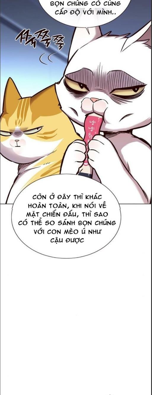 Hoá Thân Thành Mèo: Chapter 159