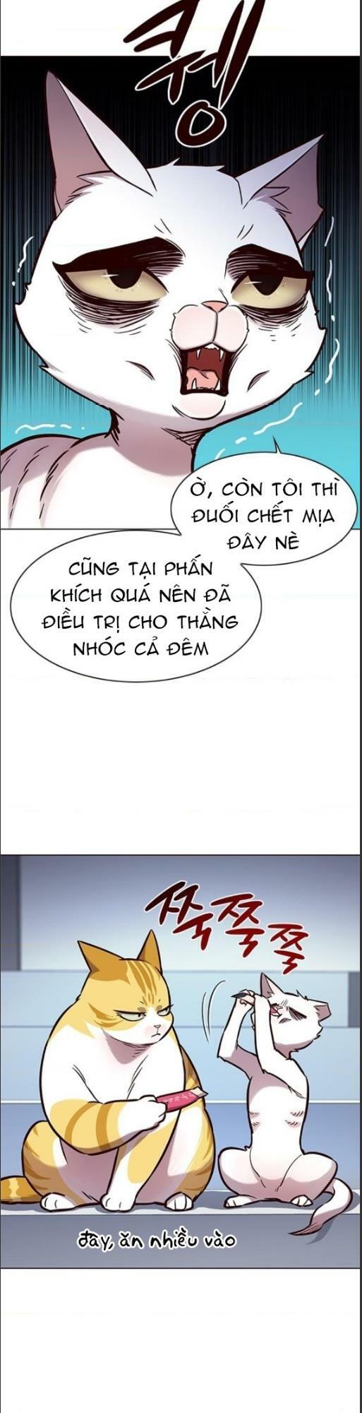 Hoá Thân Thành Mèo: Chapter 159