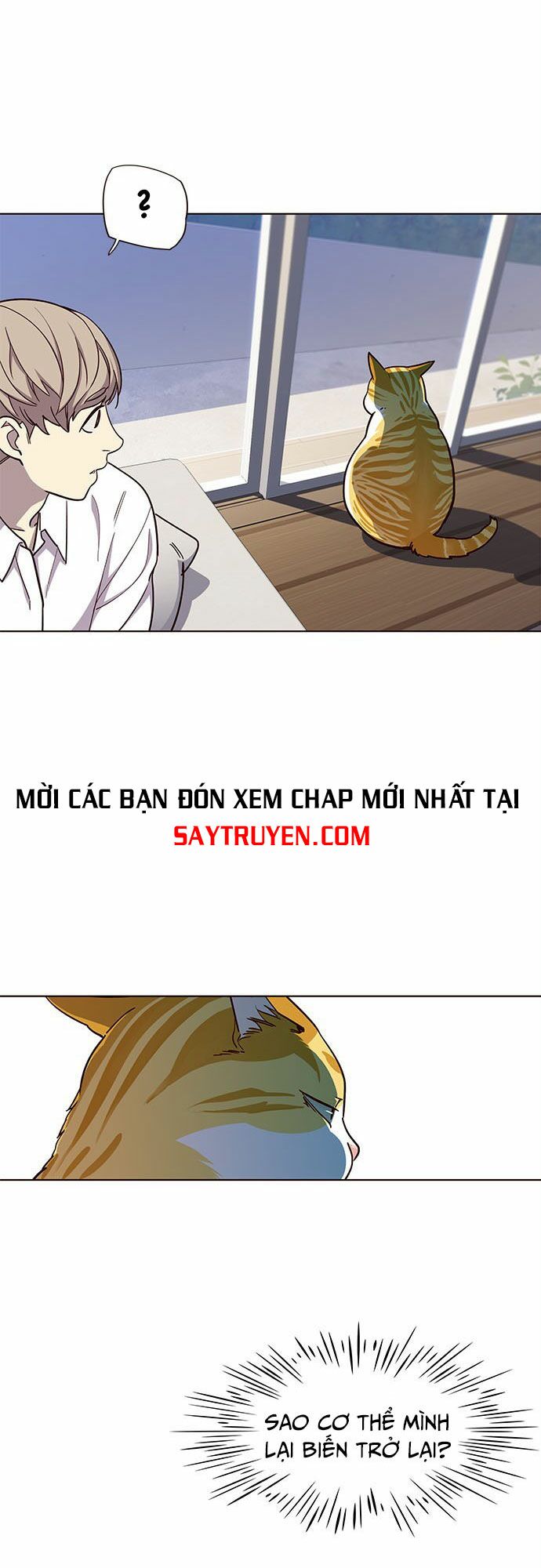 Hoá Thân Thành Mèo: Chapter 16