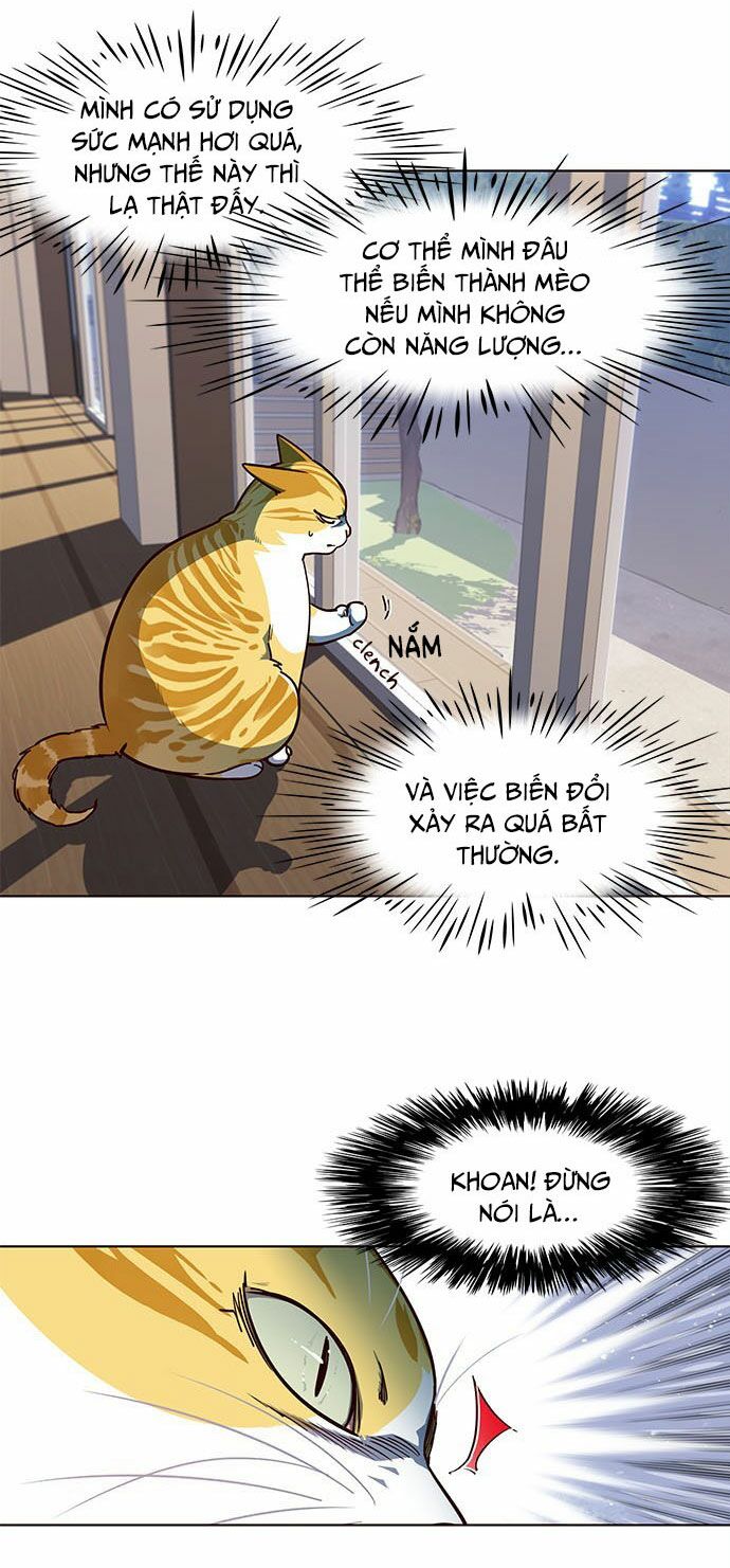 Hoá Thân Thành Mèo: Chapter 16