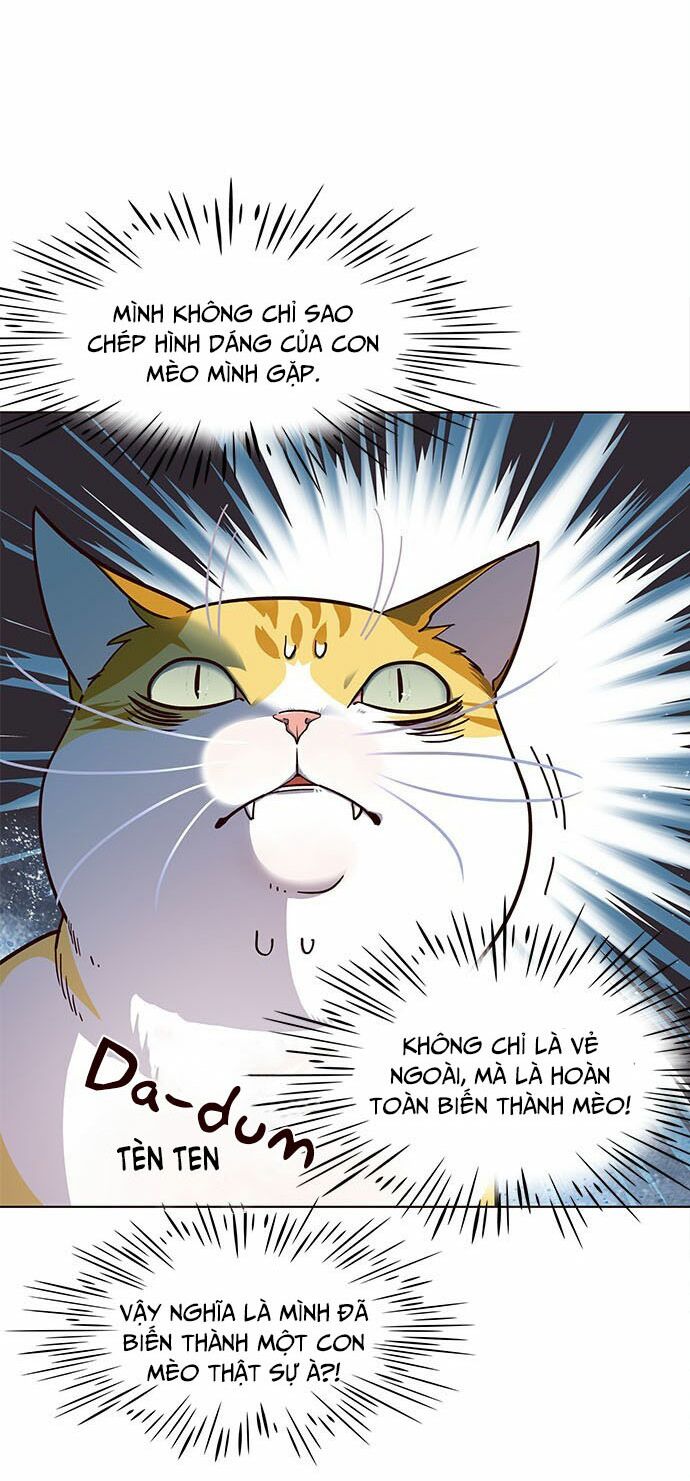 Hoá Thân Thành Mèo: Chapter 16