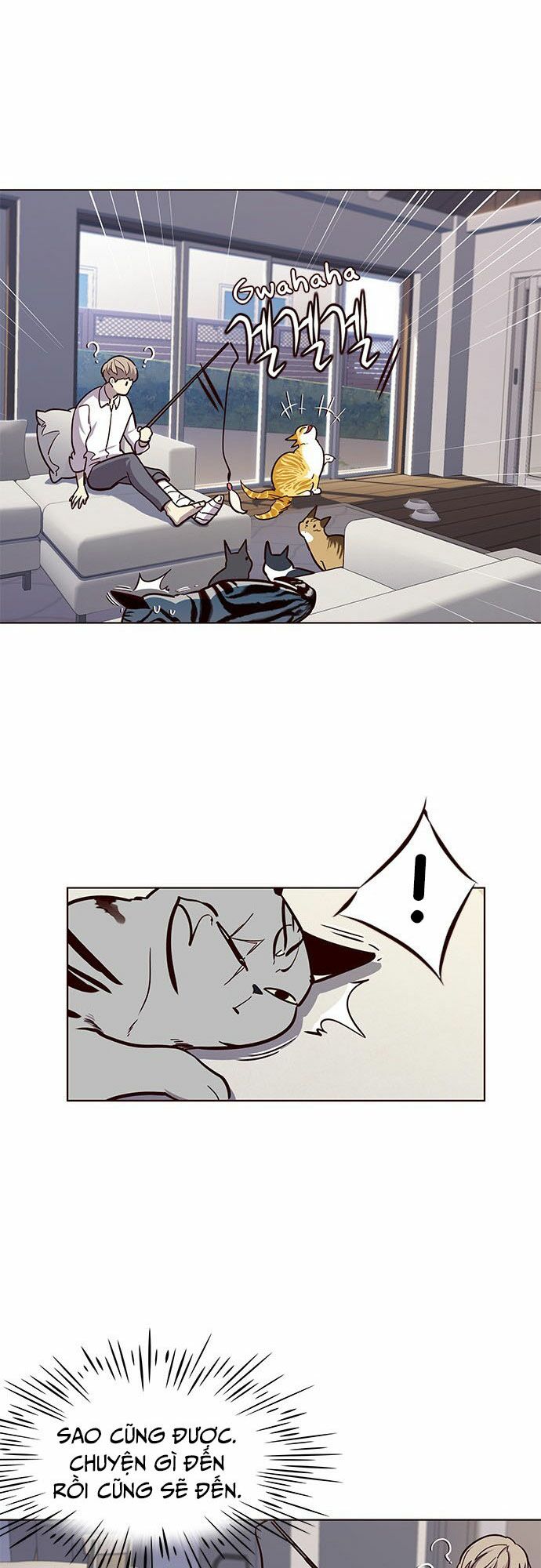 Hoá Thân Thành Mèo: Chapter 16