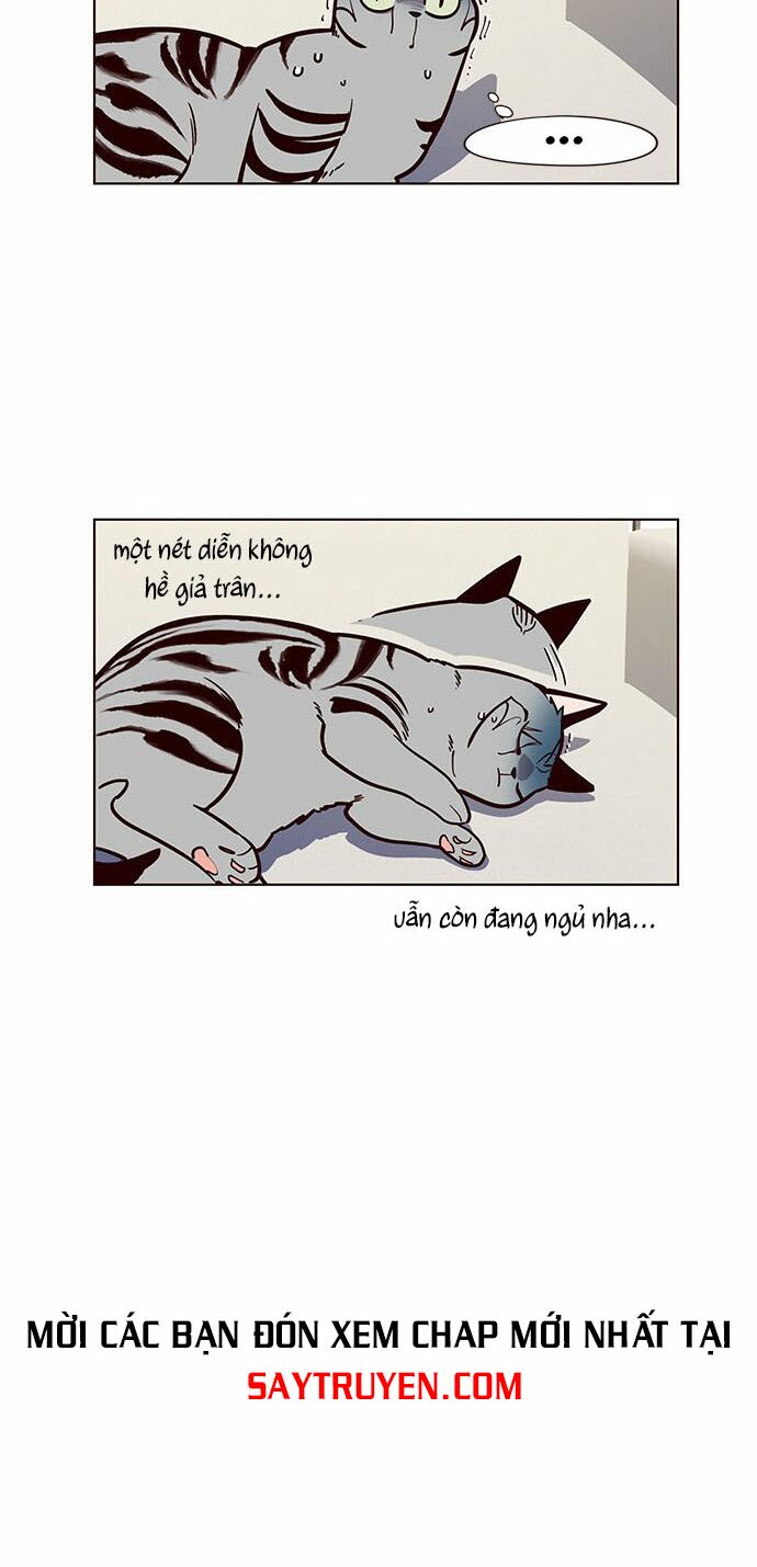 Hoá Thân Thành Mèo: Chapter 16