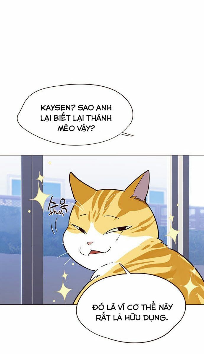 Hoá Thân Thành Mèo: Chapter 16