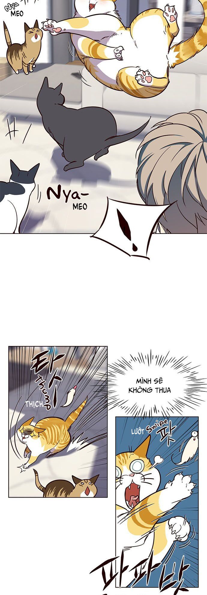 Hoá Thân Thành Mèo: Chapter 16
