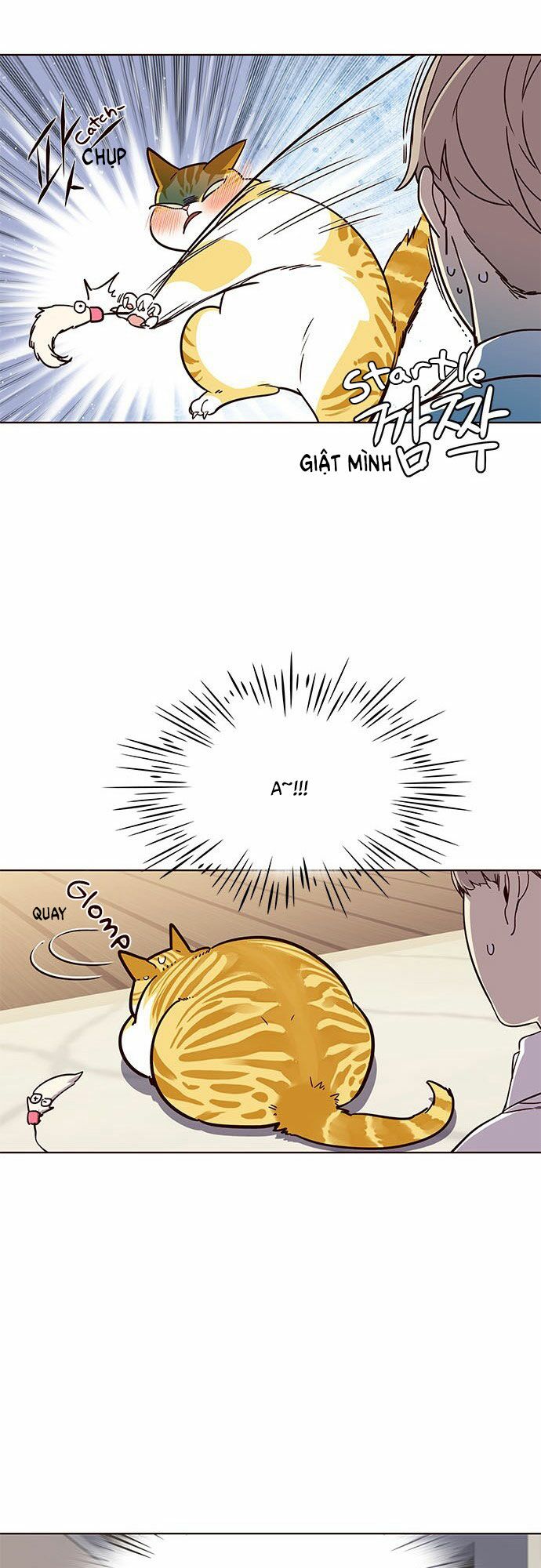 Hoá Thân Thành Mèo: Chapter 16