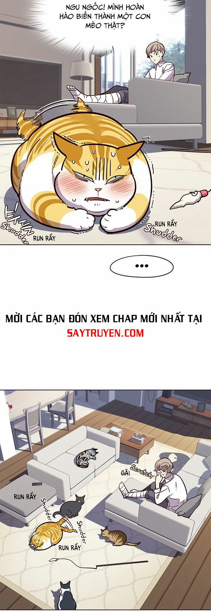 Hoá Thân Thành Mèo: Chapter 16