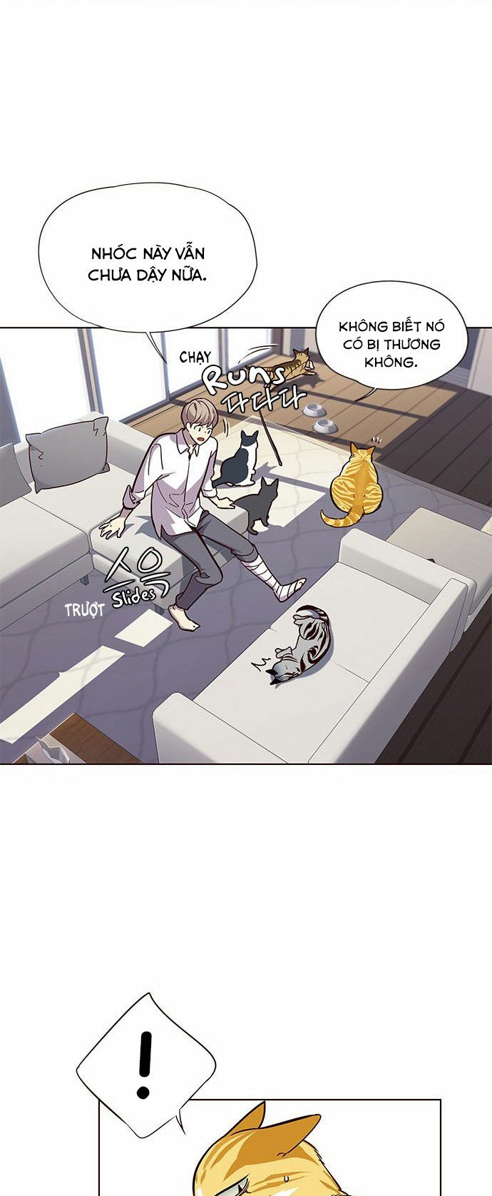 Hoá Thân Thành Mèo: Chapter 16