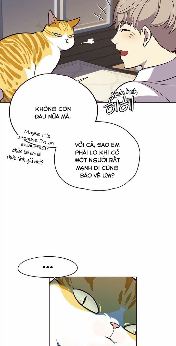 Hoá Thân Thành Mèo: Chapter 16