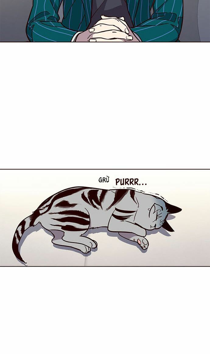 Hoá Thân Thành Mèo: Chapter 16